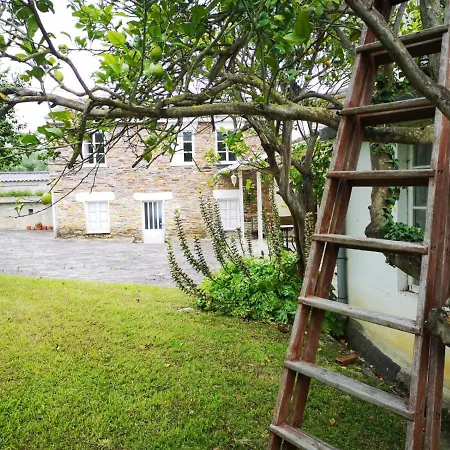 Amadora - Admite Mascotas Barreiros