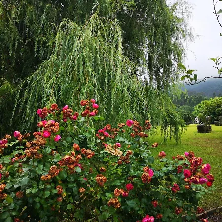 Amadora - Admite Mascotas 2* Barreiros