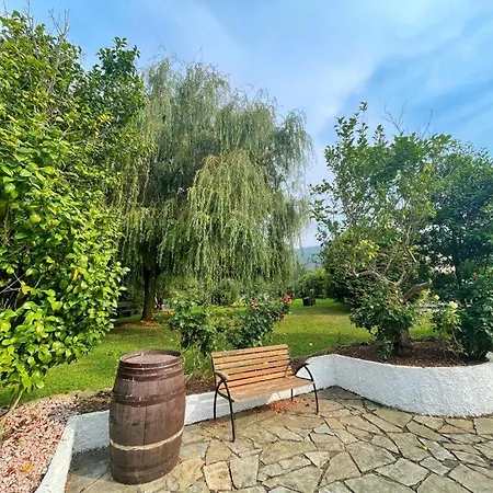 Amadora - Admite Mascotas Hotel Barreiros