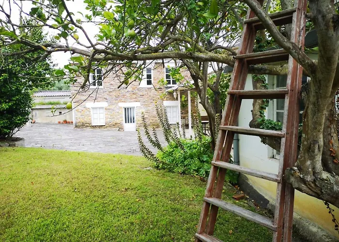 Amadora - Admite Mascotas Barreiros