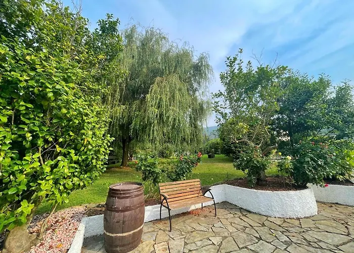 Amadora - Admite Mascotas Hotel Barreiros