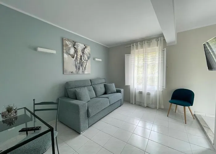 Amadora - Admite Mascotas Barreiros