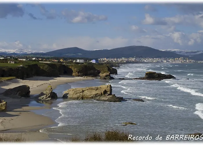 Amadora - Admite Mascotas