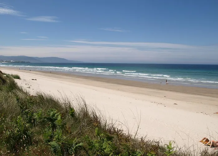 Hotel Amadora - Admite Mascotas