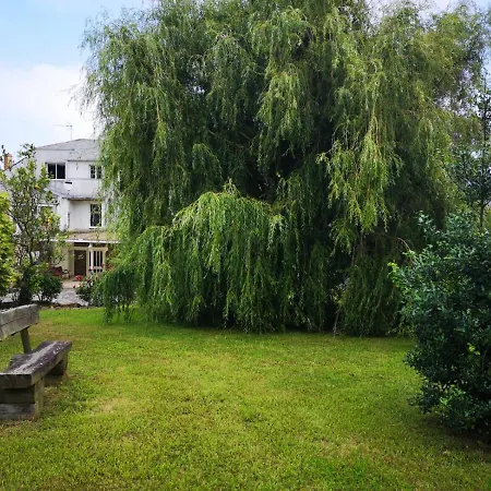 Hotel Amadora - Admite Mascotas