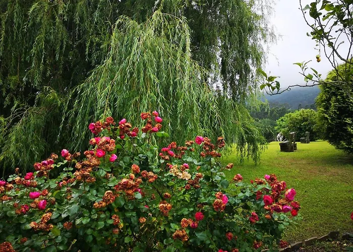 Amadora - Admite Mascotas 2* Barreiros