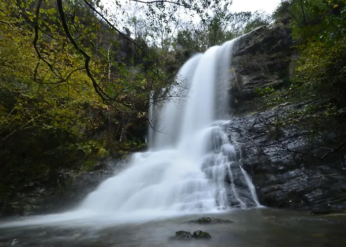 Amadora - Admite Mascotas 2* Barreiros